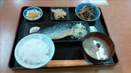 2015-02-17 12.20.07.JPG